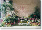 Plant and Flower hire
