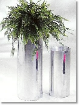 Office plant: boston fern