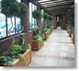 Artificial plants